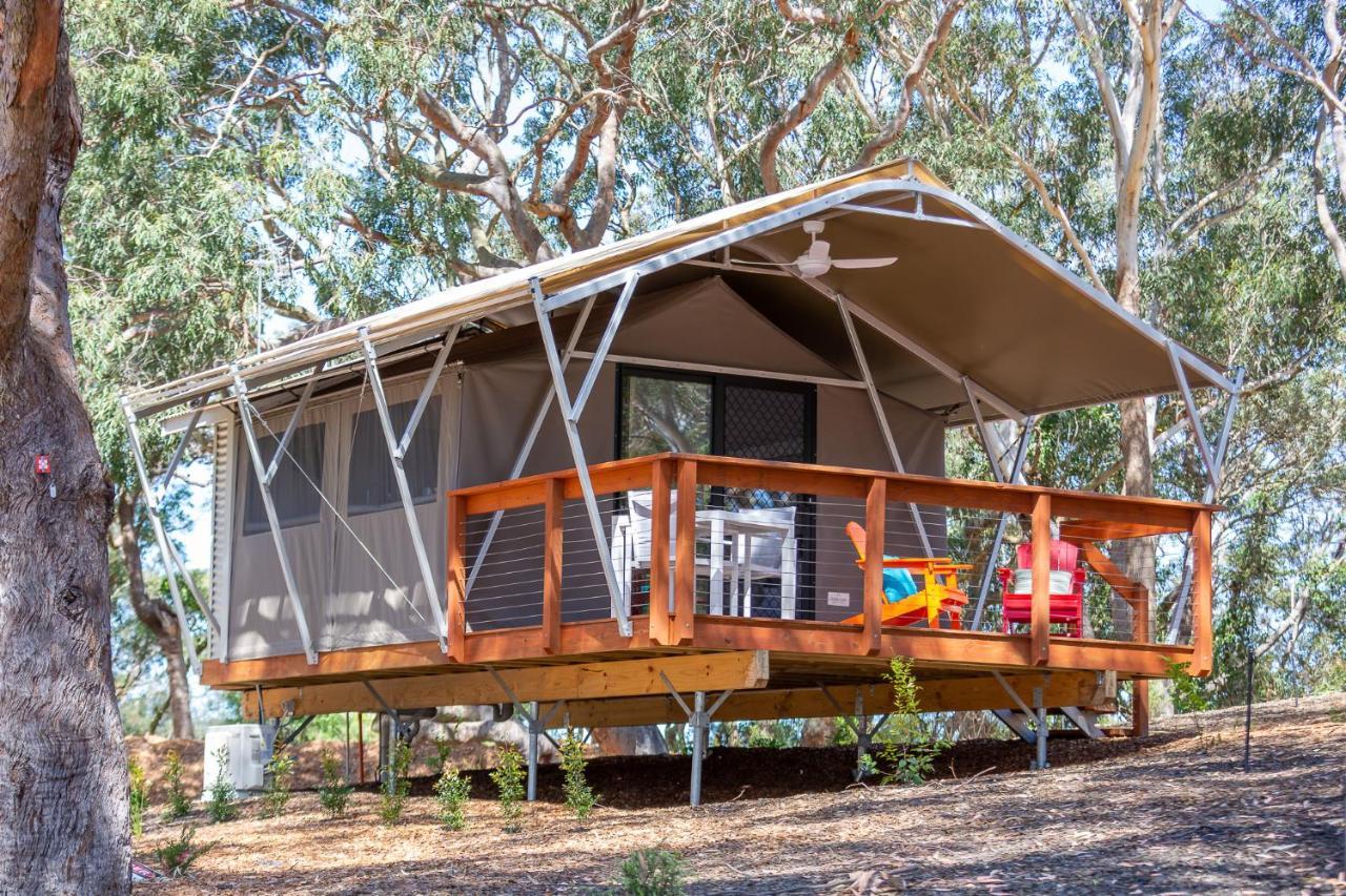 ホテル Port Stephens Koala Sanctuary One Mile エクステリア 写真