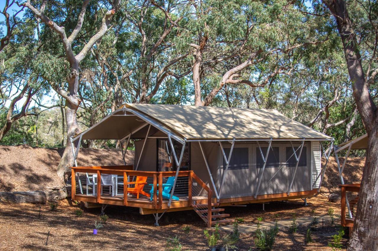 ホテル Port Stephens Koala Sanctuary One Mile エクステリア 写真