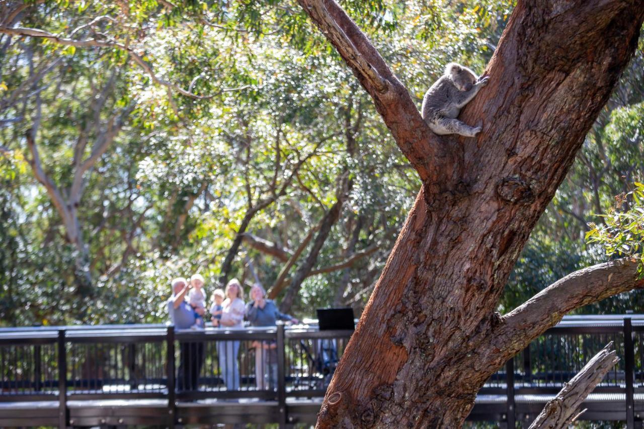 ホテル Port Stephens Koala Sanctuary One Mile エクステリア 写真