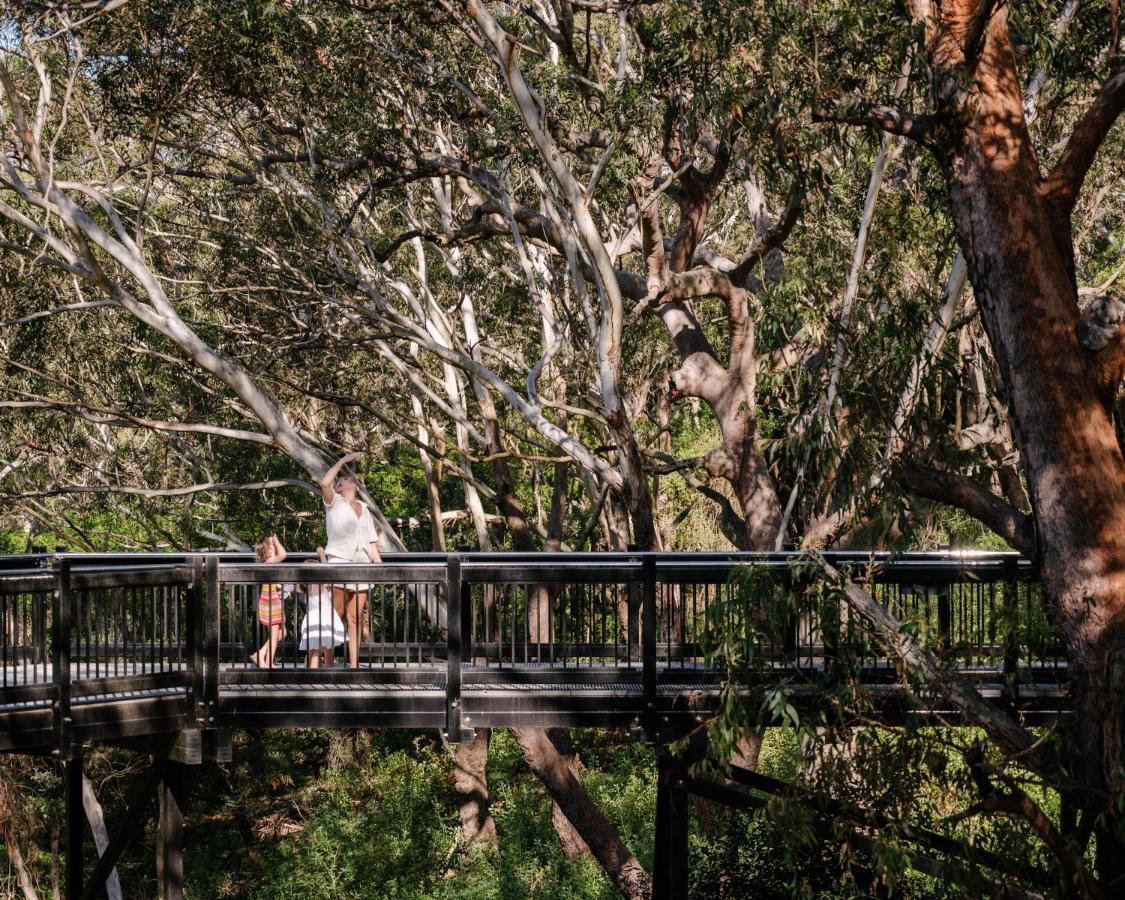 ホテル Port Stephens Koala Sanctuary One Mile エクステリア 写真