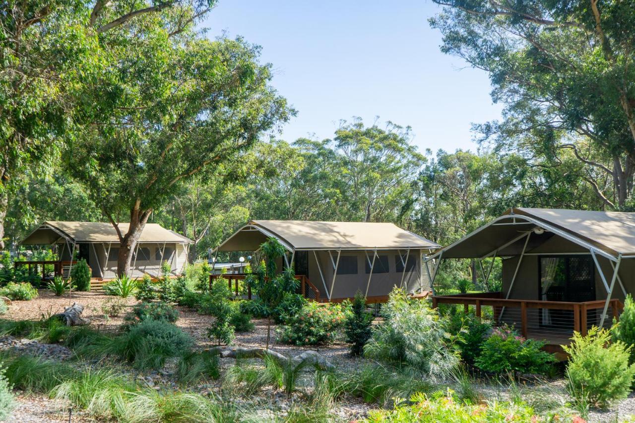 ホテル Port Stephens Koala Sanctuary One Mile エクステリア 写真
