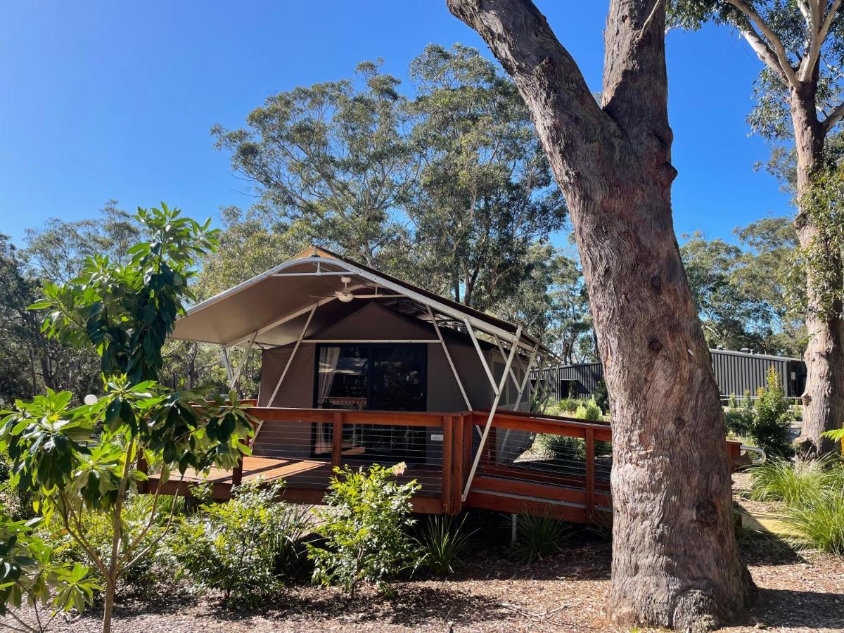 ホテル Port Stephens Koala Sanctuary One Mile エクステリア 写真