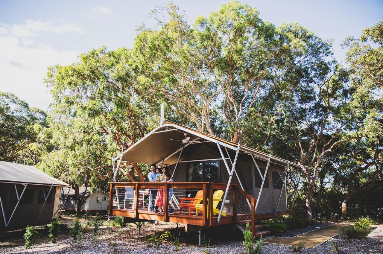 ホテル Port Stephens Koala Sanctuary One Mile エクステリア 写真